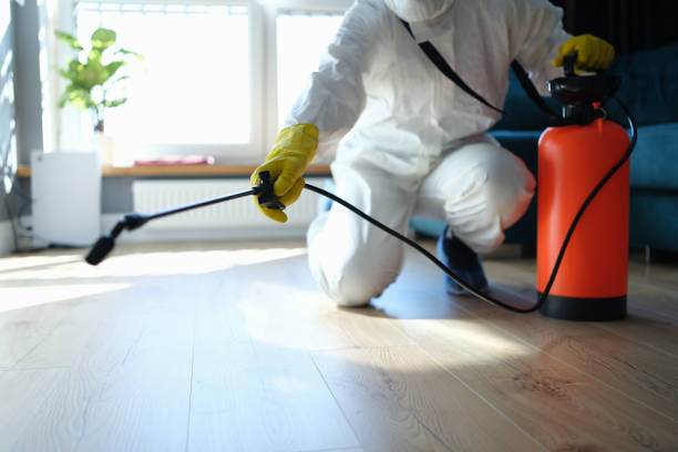 Reliable Crime Scene Cleanup contractor in De Soto, IL by Crime Scene Cleaner Online